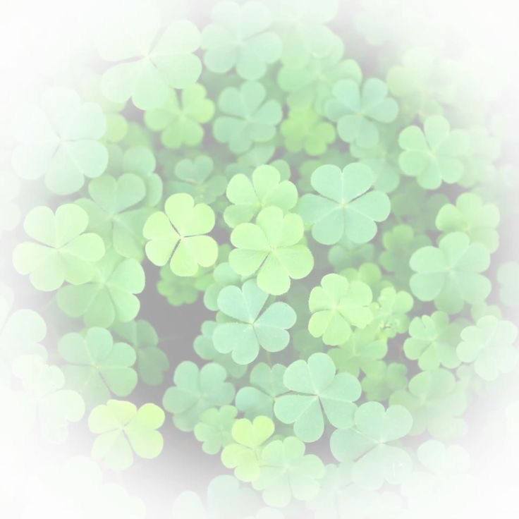 lucky you 🍀.𖥔 ݁ ˖ $222