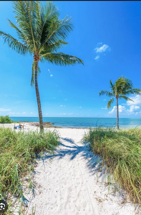Trip to Florida 