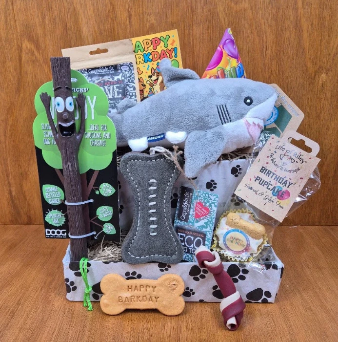 Kimchi's Birthday: Toys