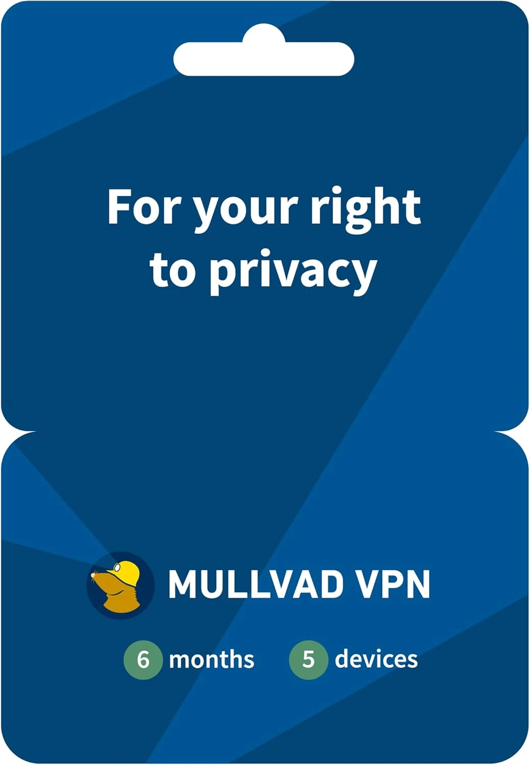 6 Months Mullvad VPN