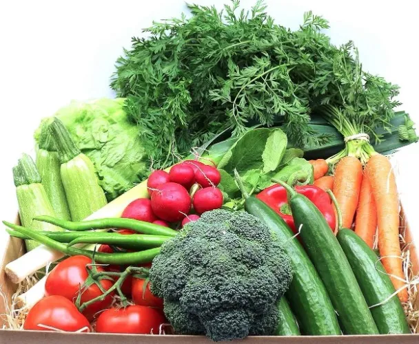 🥕🥦Healthy Food 🍉🍎