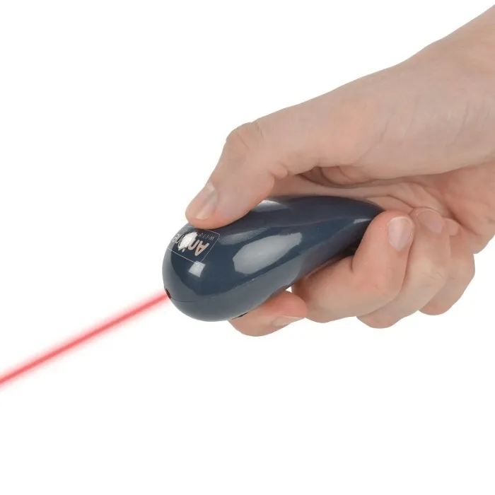 Laserpointer Fish 💡