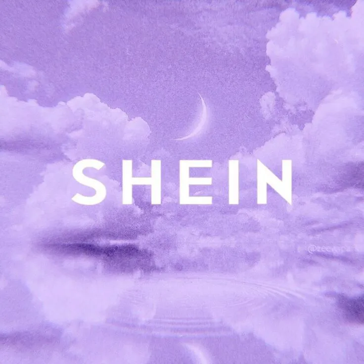 SHEIN goblin haul ✨️
