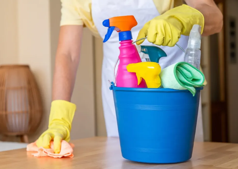 Cleaning Services