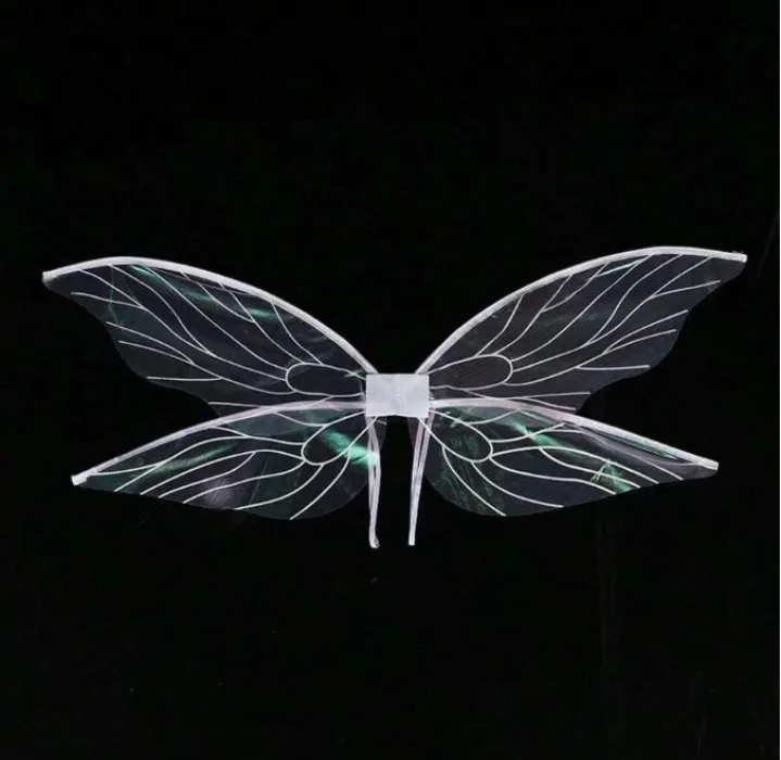 Wings for Beemo