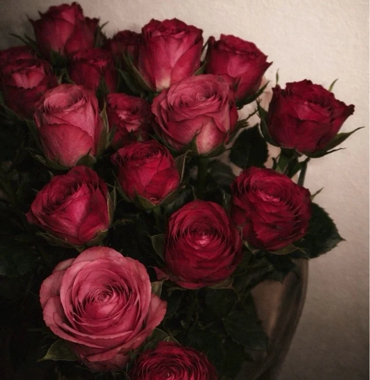 Roses