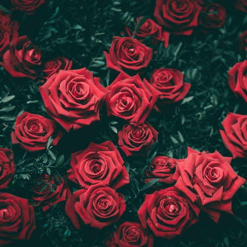 Goddess deserves it🌹