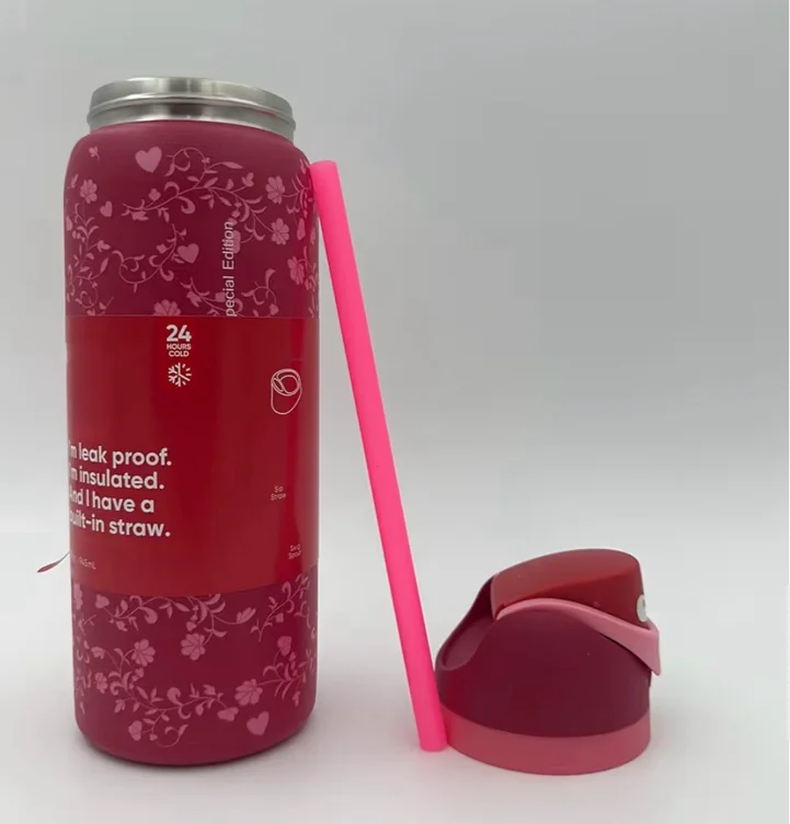 24oz Insulated Stainless Steel Water Bottle with Straw Bottle with Leak Proof Closable Sticker Straw Lid for Cold Water Drinking Sports Travel Car School (24oz-B1) - 24oz-B1