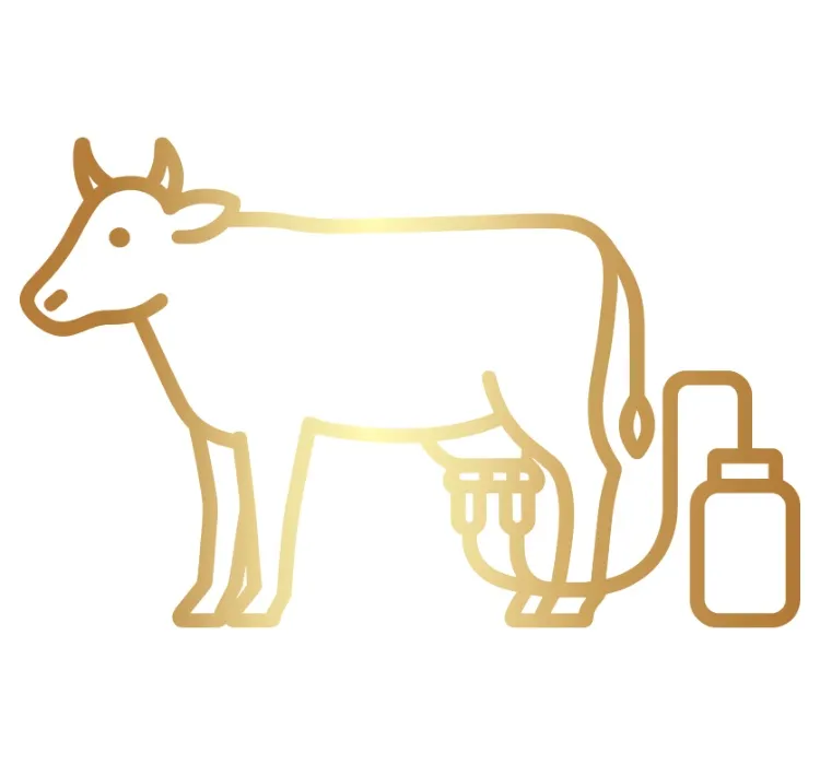 MILK MACHINE (Gold / 30)