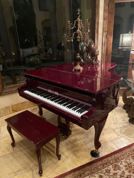Pay for my Piano Lessons 