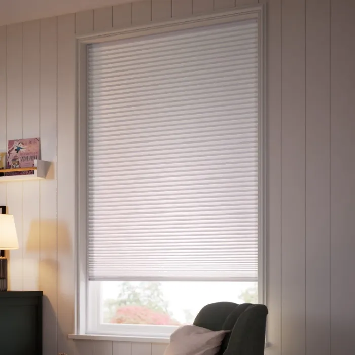 Blinds/Curtains