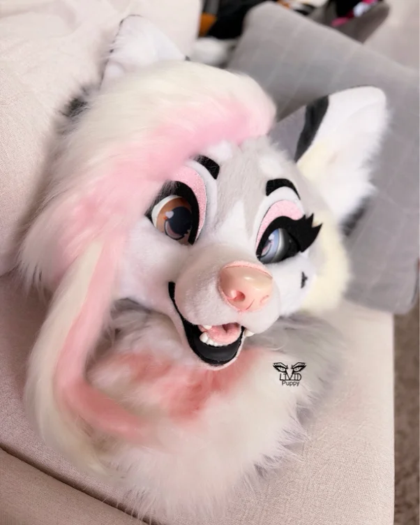 Future Fursuit Funding! 🐶
