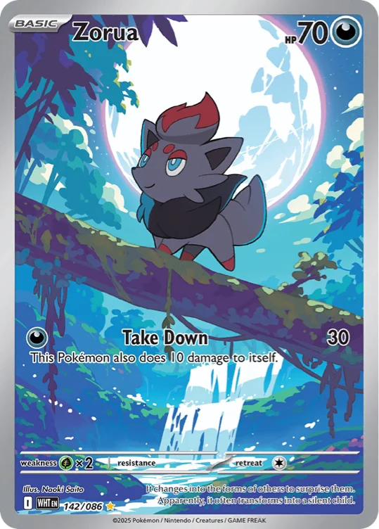 Puppy Wants Pokemon Cards ‼️ 