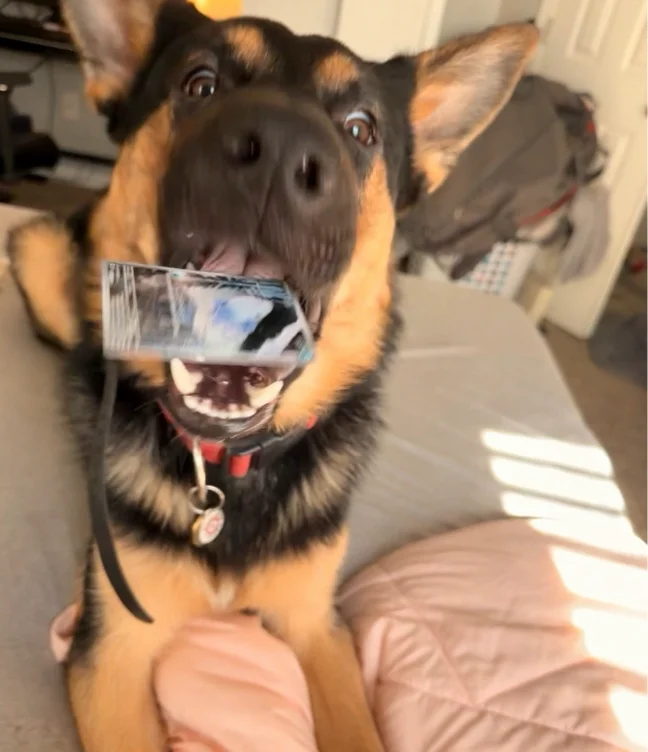 Pokémon Cards! 