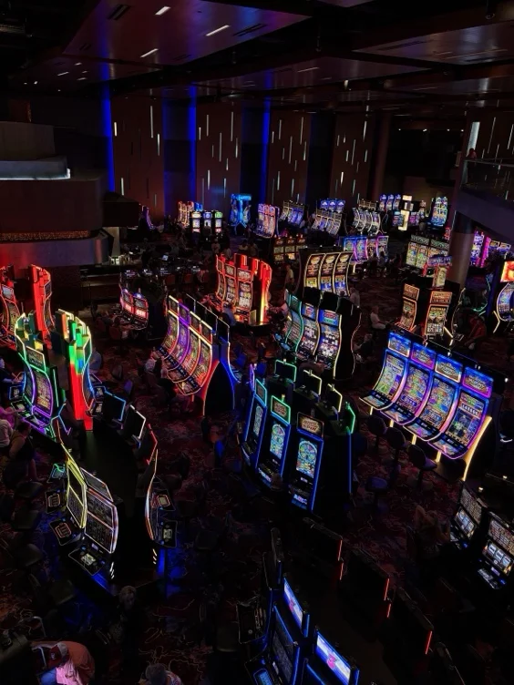 gamble funds 🎰♥️