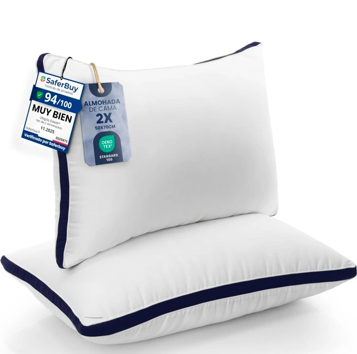 Set of 2 Pillows