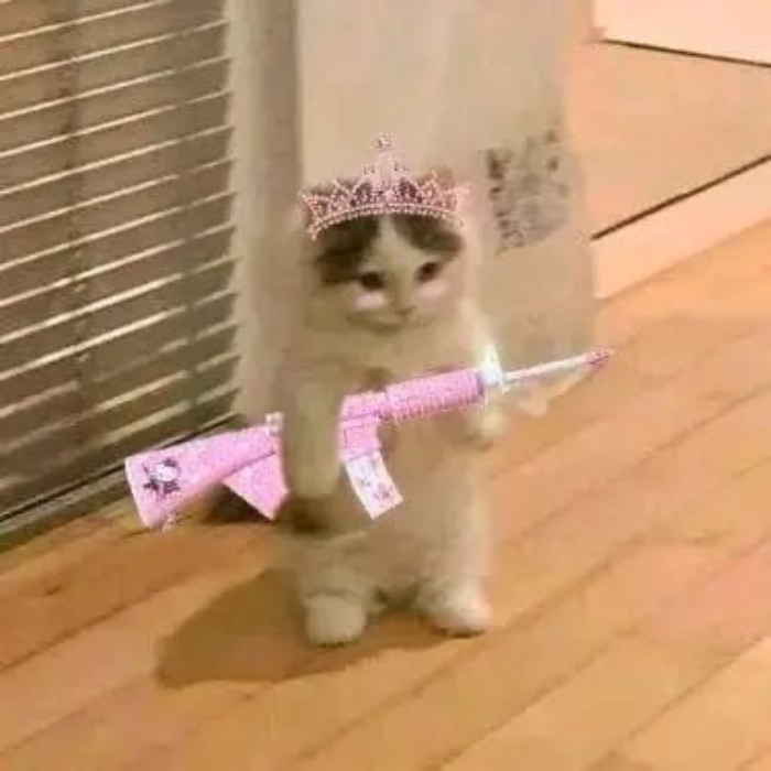 Buy me uc for a game 🎮