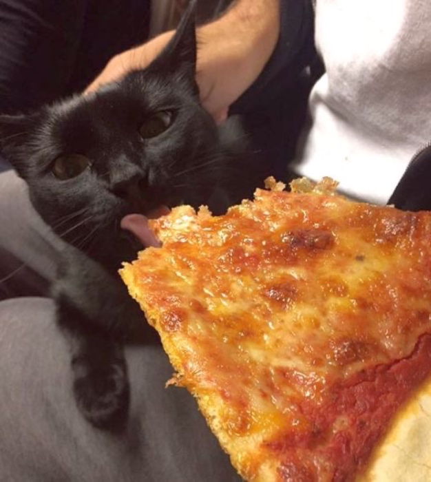 Buy me dinner 🍽️ 