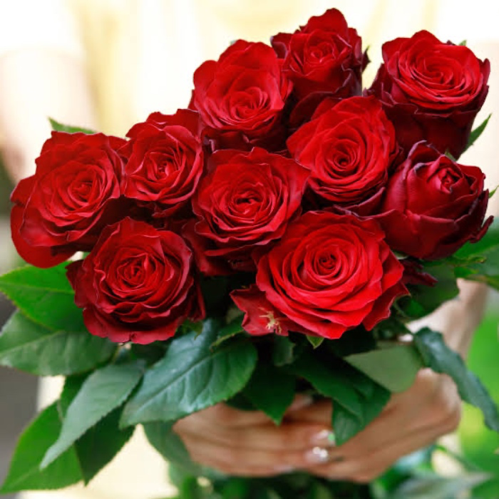 Bouquet de roses 