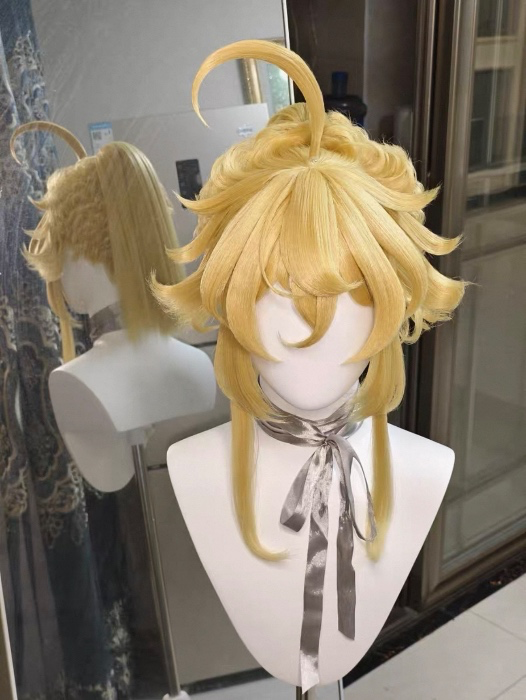Cosplay Wig