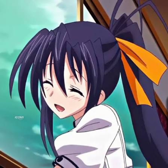 Akeno Wig