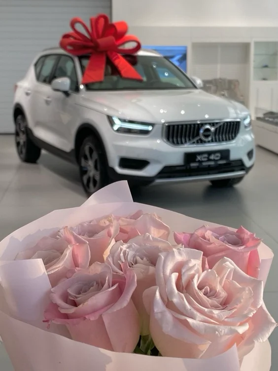 Buy My Own first Car 