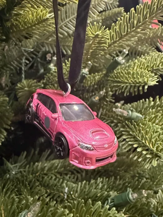 CLEO'S NEW CAR