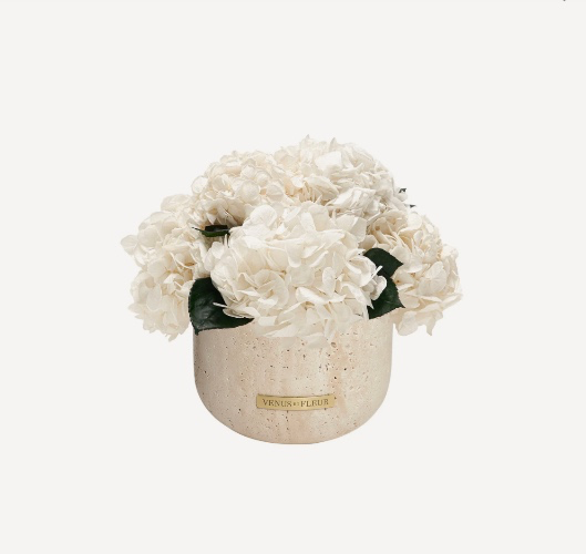 Venus et Fleur Eternity Flowers