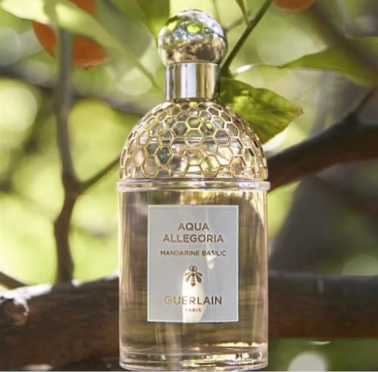 AQUA ALLEGORIA MANDARINE-BASILIC EAU TOILETTE