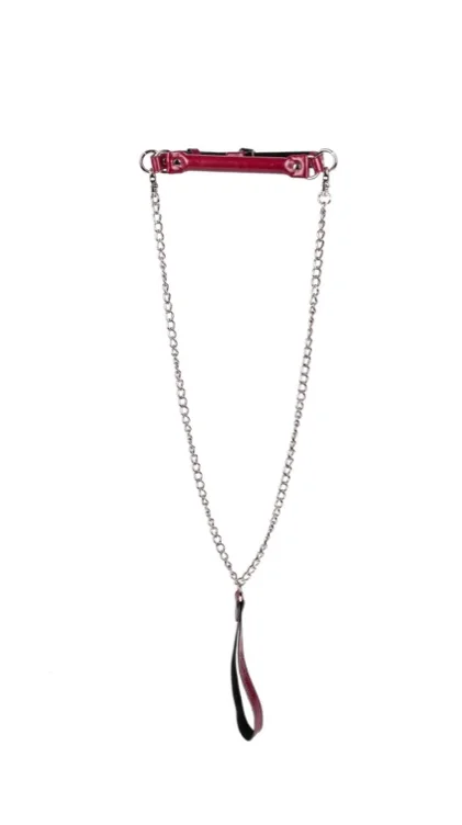 BRIDLE MOUTH RESTRAINT WITH REMOVABLE CHAIN LEASH