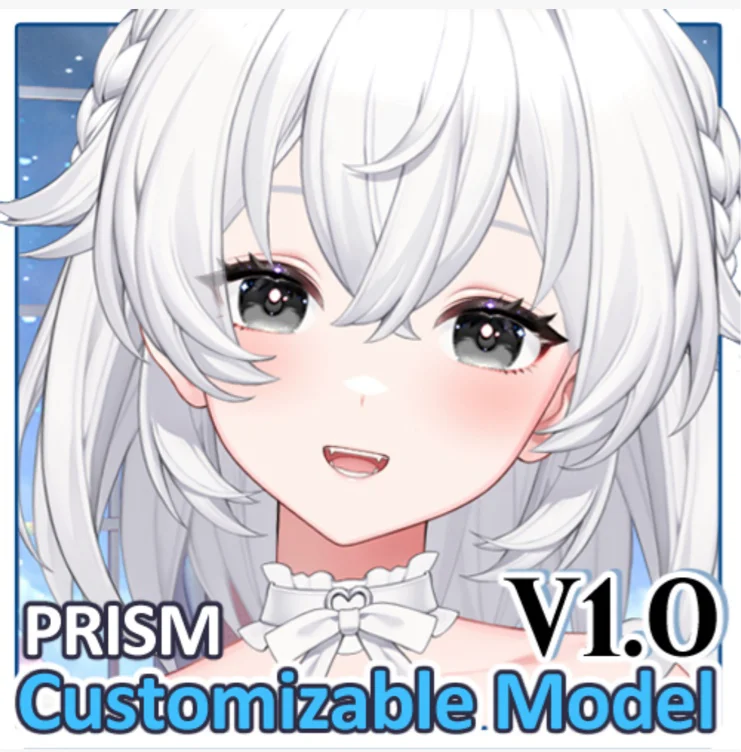 Custom Vtuber Model