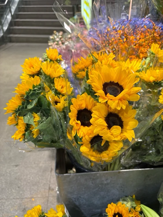 Flowers ✧.*