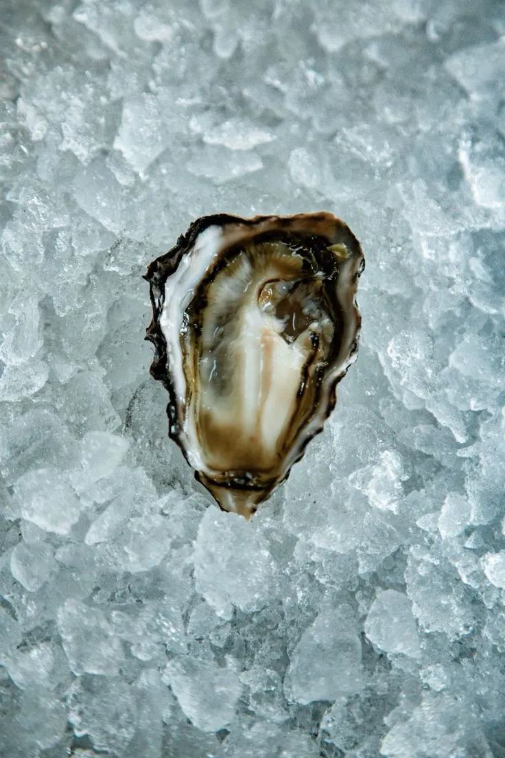 Oysters & Caviar