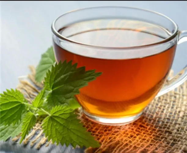 Mint Morning Mood pot of tea