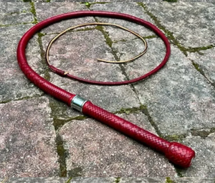 My dream bullwhip