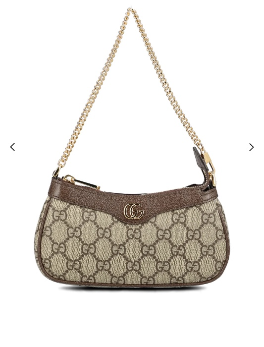 Gucci Ophidia Monogrammed Mini Bag