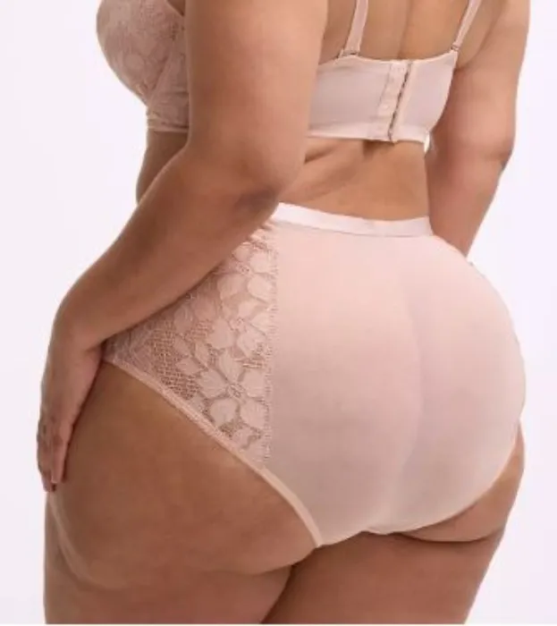 Lace High Rise Brief Panty