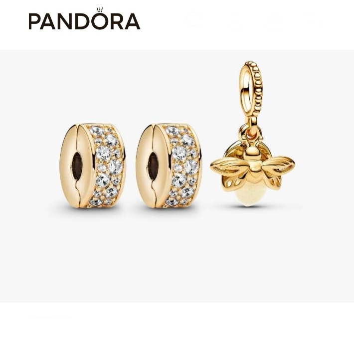 Pandora christmas gift $250