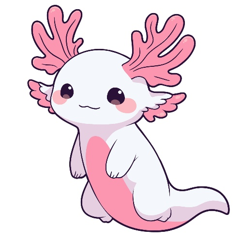 Axolotle