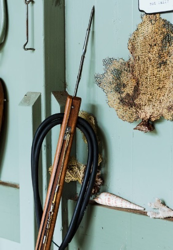Spearfishing gear