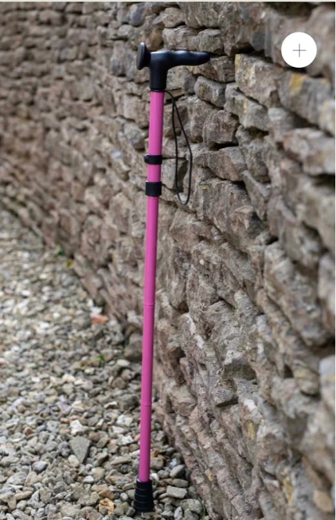 walking stick 🤍