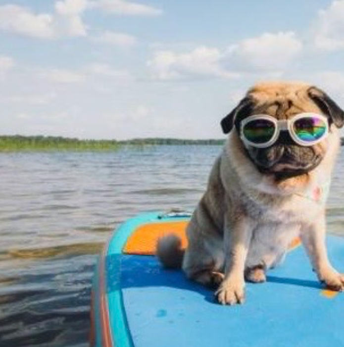 vacay