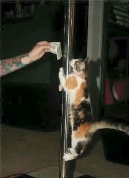 Pole Fitness Class 