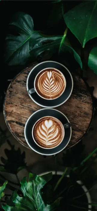 Coffee ☕