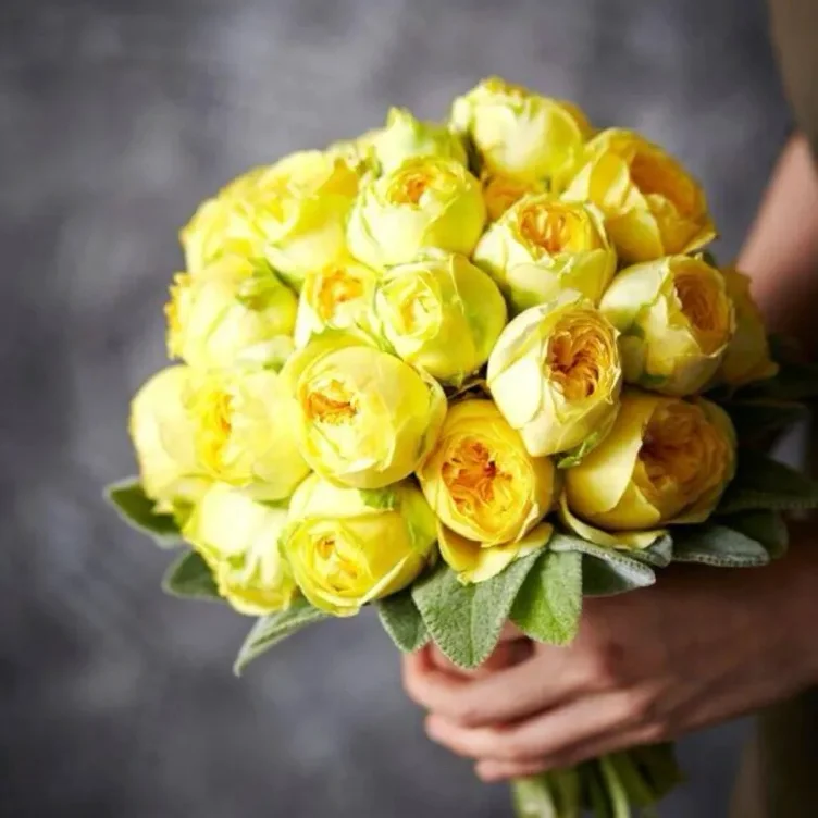 yellow flowers