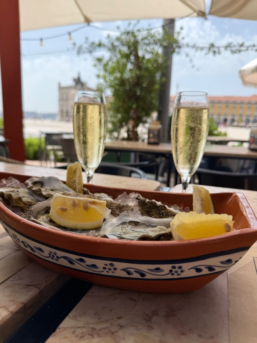 Oysters 🦪 