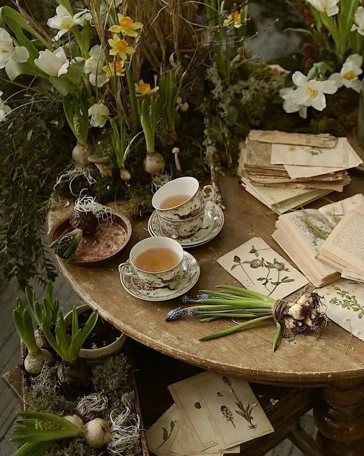 tea ! 