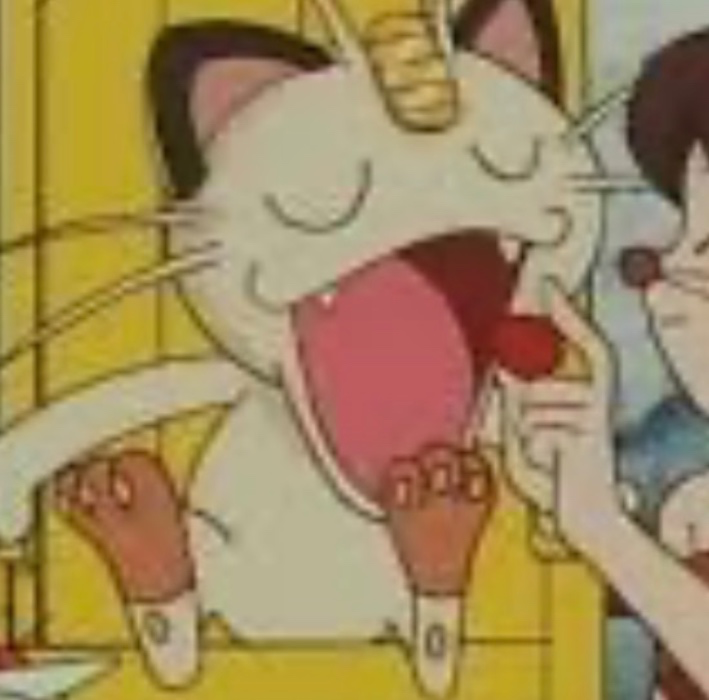 feed kitty 🍔