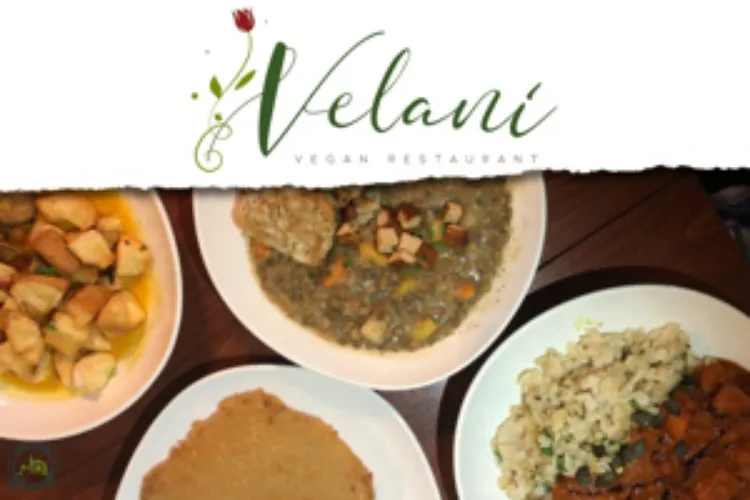 Ein exklusives veganes Dinner in Wien 