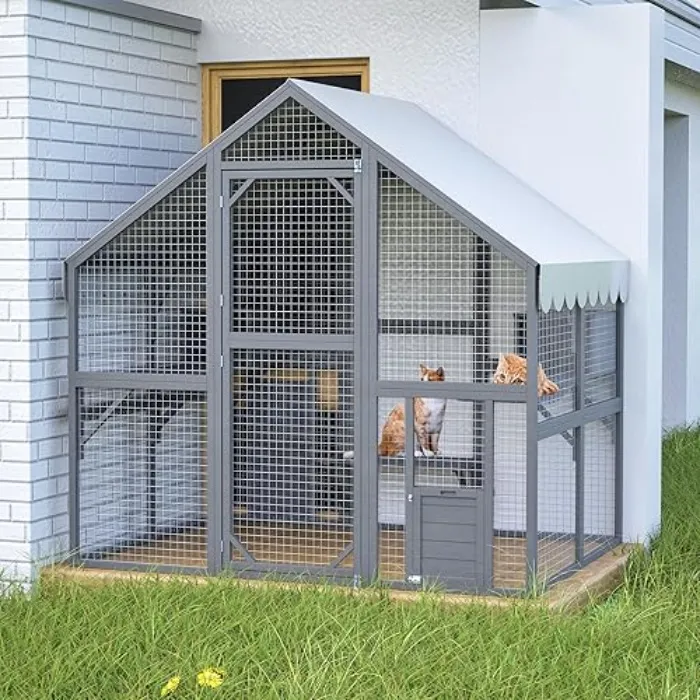Outdoor Cat Enclosure